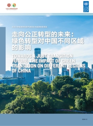 2024走向公正转型的未来：绿色转型对中国不同区域的影响报告