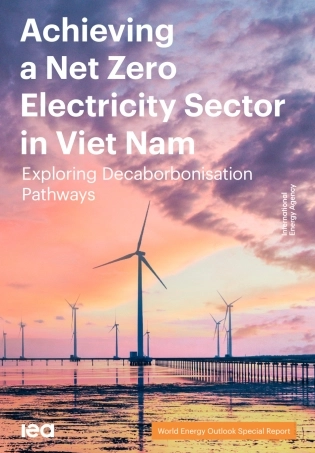 在越南电力部门实现净零（英）