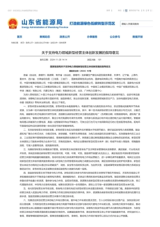 山东省能源局：关于支持电力领域新型经营主体创新发展的指导意见