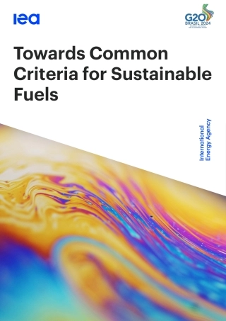 迈向可持续燃料的共同标准（英）