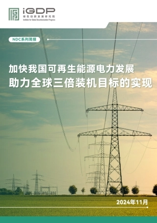 加快我国可再生能源电力发展：助力全球三倍装机目标的实现