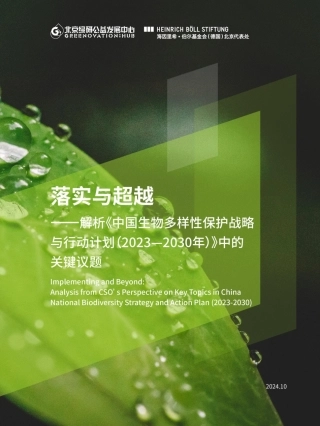 落实与超越——解析中国生物多样性保护战略与行动计划中的关键议题