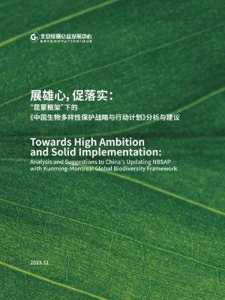 展雄心，促落实：“昆蒙框架”下的《中国生物多样性保护战略与行动计划》分析与建议