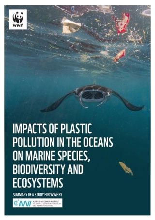 塑料污染对生物多样性的影响（英文版）