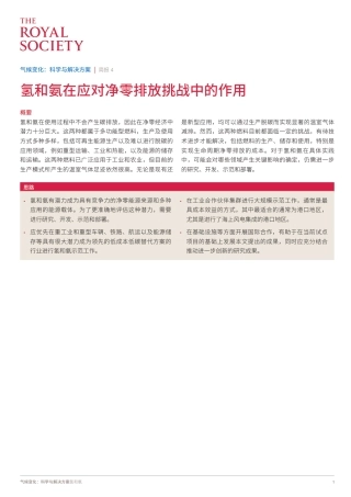 氢和氨在应对净零排放挑战中的作用