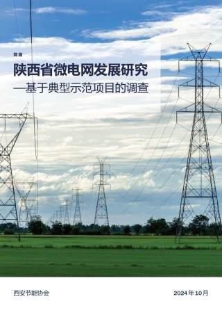 陕西省微电网发展研究——基于典型示范项目的调查