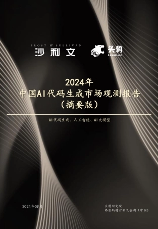 2024年中国AI代码生成市场报告（摘要版）