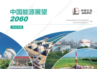 中国能源展望2060（2025年版）
