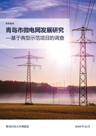 青岛市微电网发展研究——基于典型示范项目的调查