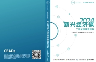 2024年新兴经济体二氧化碳排放报告
