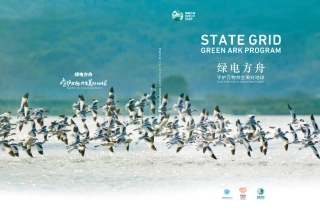 绿电方舟：守护万物共生美好地球