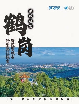 资源型城市转型路径探索——鹤岗篇：煤城蜕变