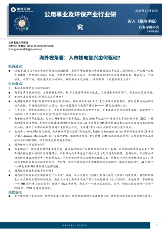 国金证券：公用事业及环保产业行业研究：海外视角看：入市核电复兴由何驱动？