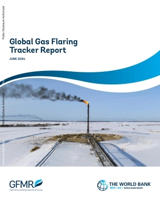 全球天然气燃烧追踪报告（英文版）