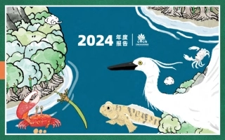 中国红树林保育联盟CMCN2024年度报告