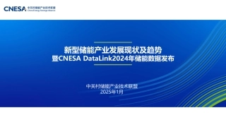 2024年度储能数据