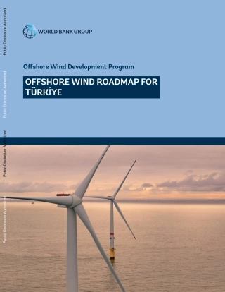 海上风电开发计划路线图（英文版）