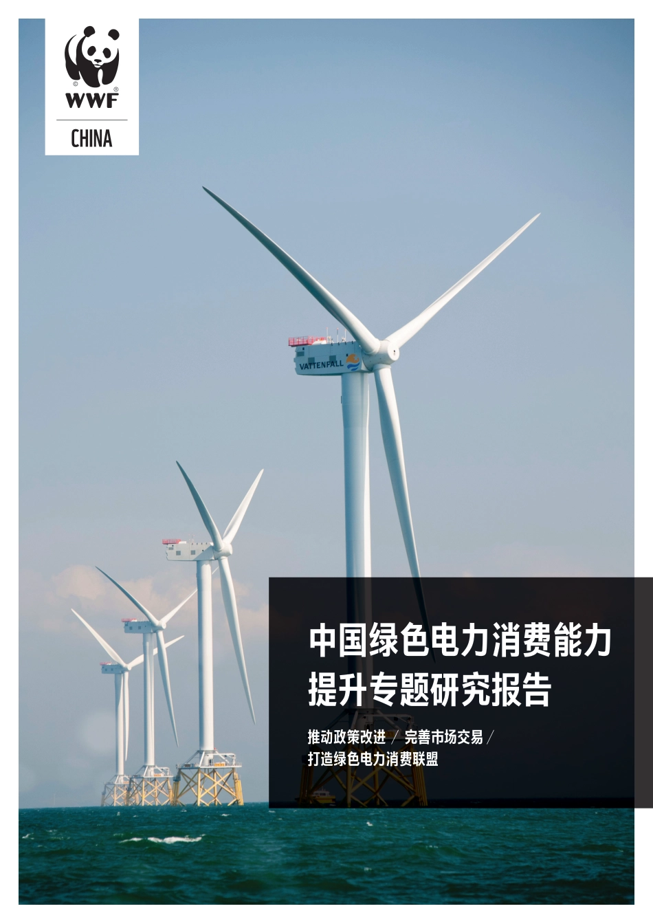 中国绿色电力消费能力提升专题研究报告_第1页