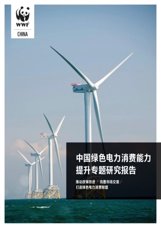 中国绿色电力消费能力提升专题研究报告