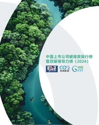中国上市公司碳排放排行榜暨双碳领导力榜（2024）