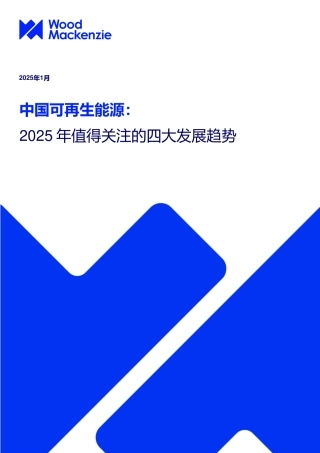 中国可再生能源：2025年值得关注的四大发展趋势