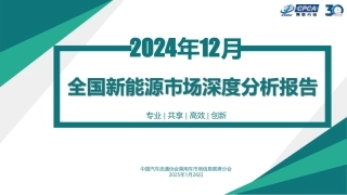 2024年12月份全国新能源市场深度分析报告