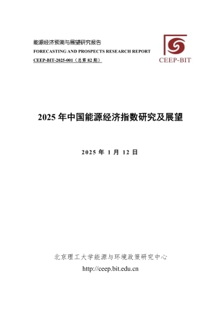 2025年中国能源经济指数研究及展望