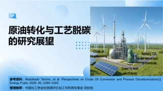 中国化工学会PPT：原油转化与工艺脱碳的研究展望