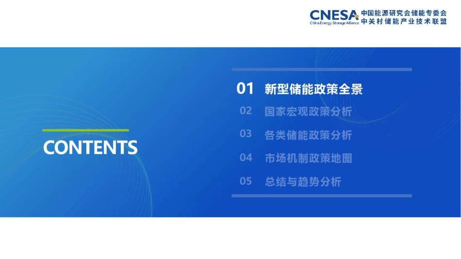 中关村储能产业技术联盟：2025储能政策全年盘点_第3页