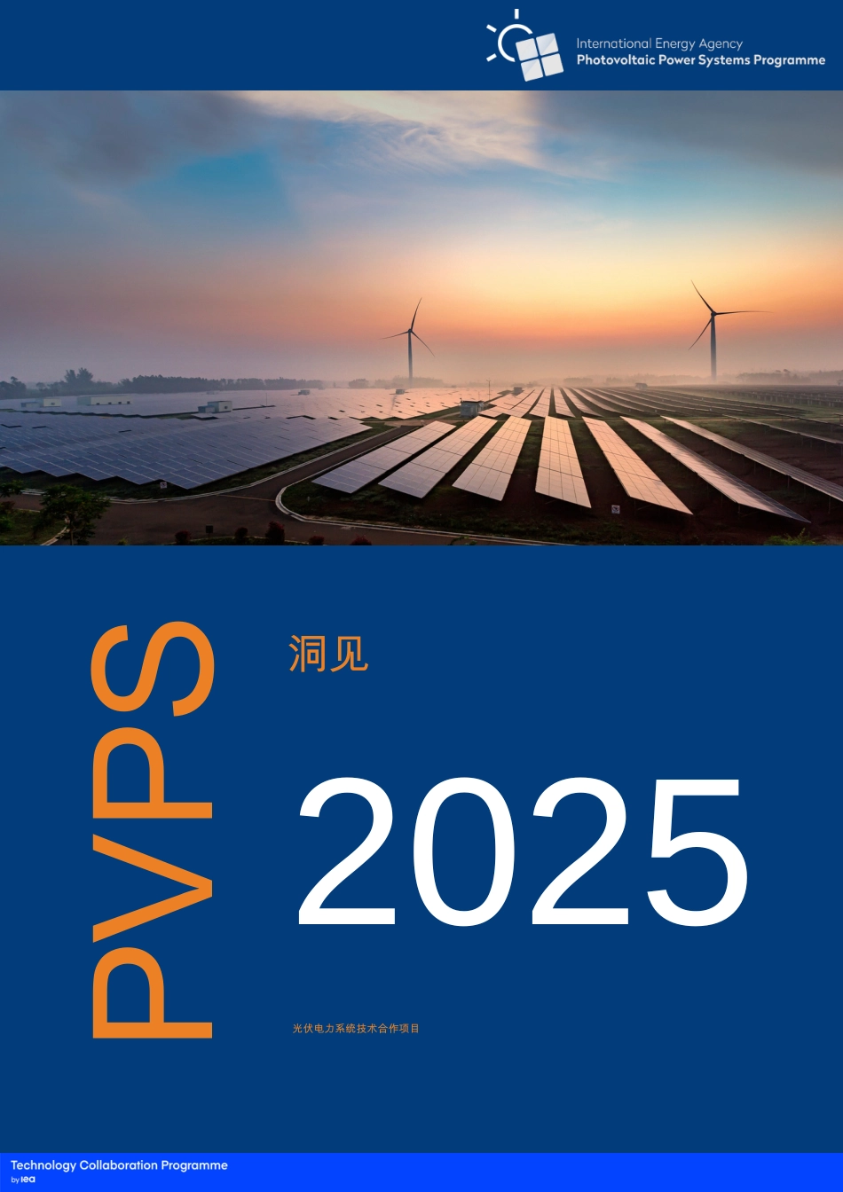【英译中】国际能源署IEA：光伏发电系统项目：洞见2025_第1页