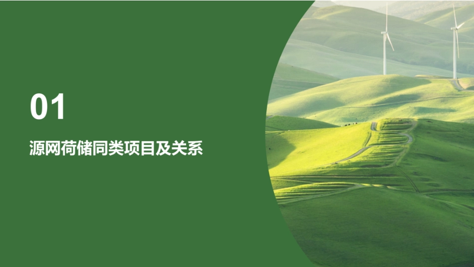 PPT：源网荷储同类项目投资路径与风险解析_第3页