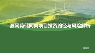 PPT：源网荷储同类项目投资路径与风险解析