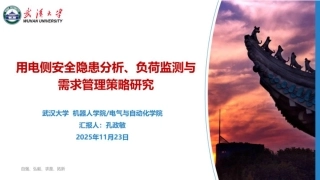 武汉大学PPT：用电侧安全隐患分析、负荷监测与需求管理策略研究